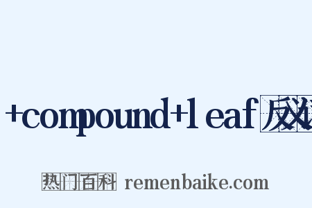 +compound+leaf反义词是什么意思的图片